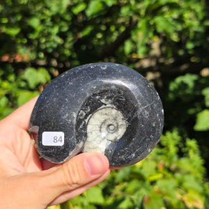 Geschliffene Schnecke mit Ammoniten und Orthoceras – 9x7 cm - Fossilienkunst aus Marokko - Nr. 112