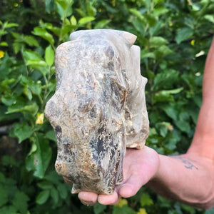 Ammonit - Echtes versteinertes Fossil - 100 Millionen Jahre alt - 22x19x9 cm - NR. 105