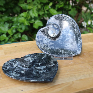 Herz Schale aus Orthoceras klein- 11x11cm - Fossilgestein - Nr. 3, präsentiert in einem romantischen Design.