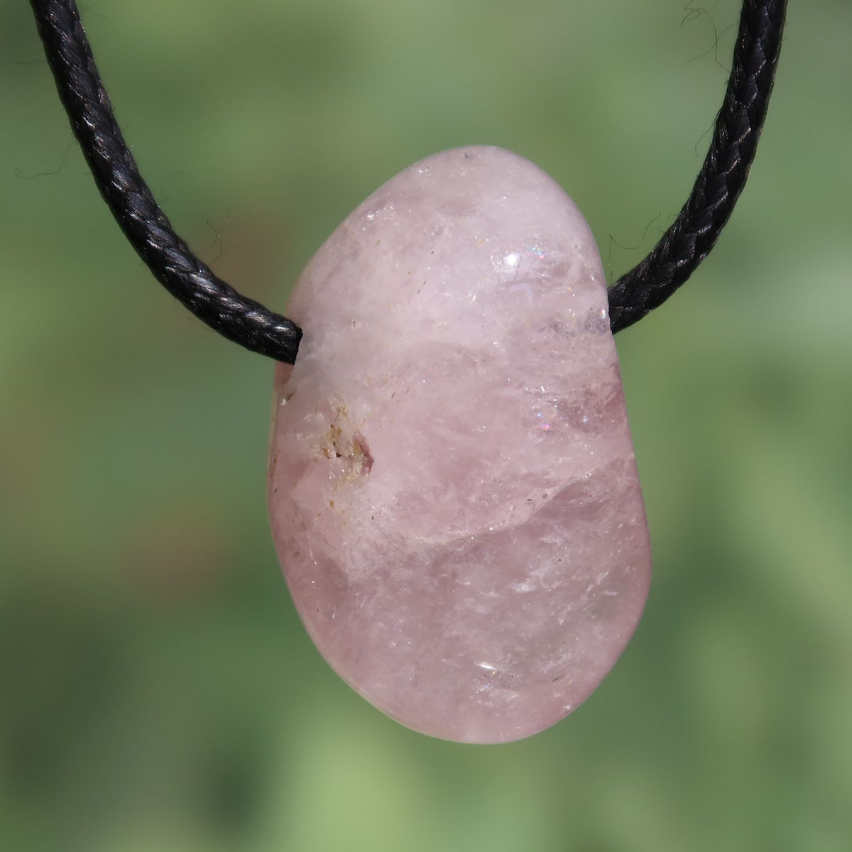 Morganit gebohrt - intensiv Rosa - Liebe und Harmonie - Nr. 14 am Halsband, elegant und modern.