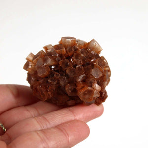 Hand holding a natural raw Aragonite crystal specimen, 5x4 cm, from Morocco. Ideal for mineral collectors and enthusiasts.