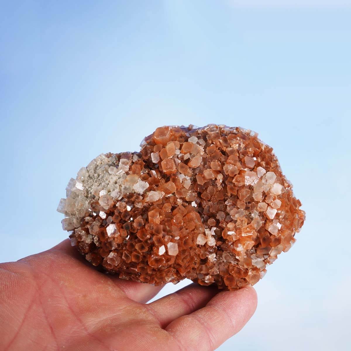Hand holding natural raw aragonite crystal cluster from Morocco, showcasing unique star-shaped formations, 11x7 cm, exclusive collector's piece.