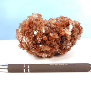 Natürliche rohe Aragonit Kristall Stufe, 9x5 cm, mit braunem Stift für Größenvergleich, exklusive Sammlerstück Nummer 36.