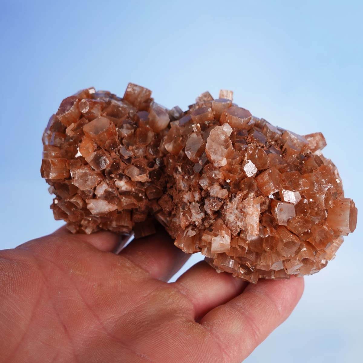 Natürliche rohe Aragonit Kristalle aus Marokko, 9x7 cm, exclusive für Sammler und Liebhaber, vor neutralem Hintergrund mit Stift