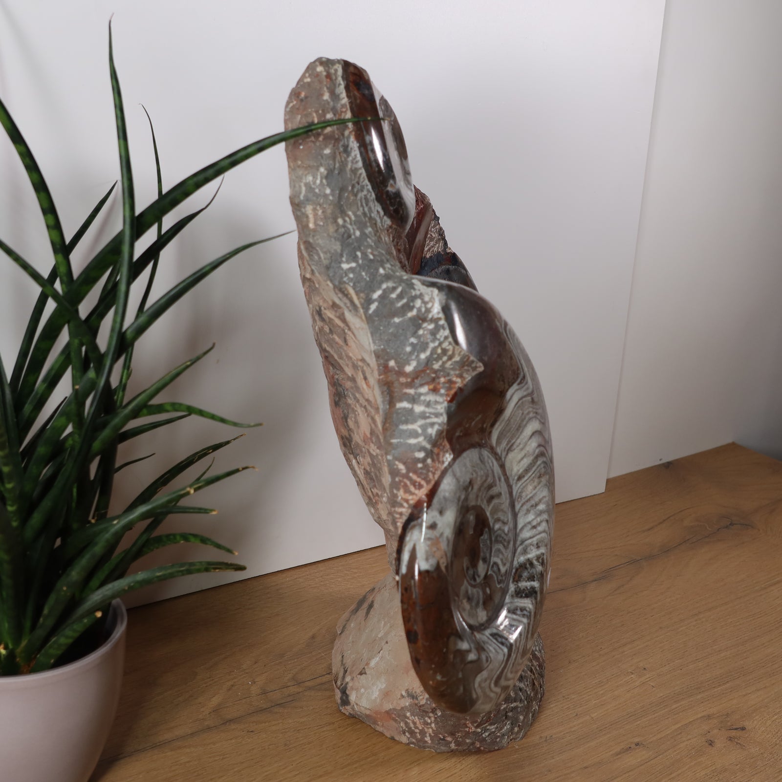 Skulptur aus Orthoceras & Ammoniten-Fossilien – 43x36cm 15kg - aus der Urzeit Nr.41