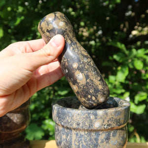 Orthoceras Mörser mit Stößel mittel- cm - Fossilgestein - Nr. 8, handgehalten mit grünem Hintergrund.