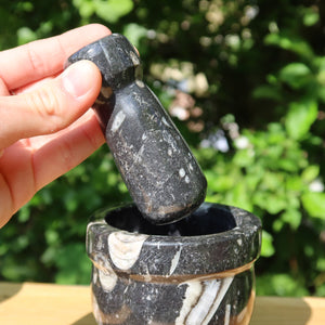 Orthoceras Mörser mit Stößel klein - cm - Fossilgestein - Nr. 7 in der Hand, mit sichtbaren Fossilienstrukturen.