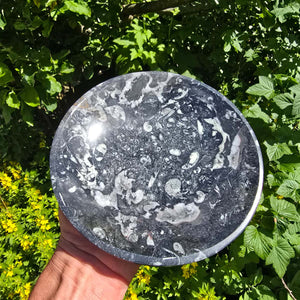 Orthoceras Schale rund groß - Ø 17cm - Fossilgestein - Nr. 17, natürliche Fossilien mit einzigartigen Mustern.