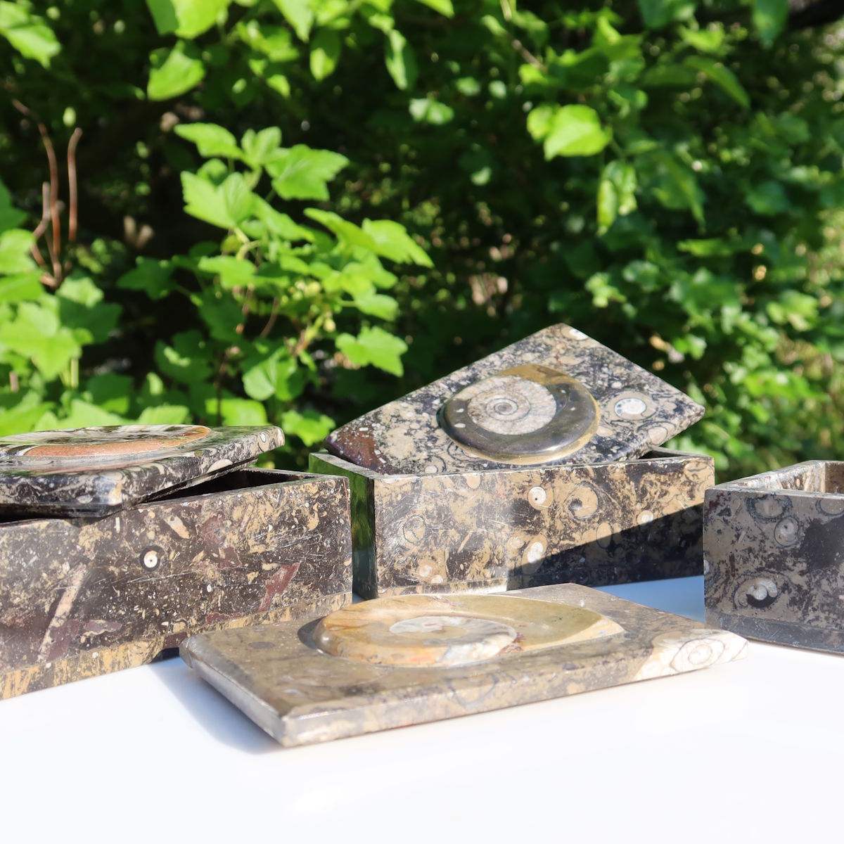 Orthoceras Schatulle Rechteck - cm - Fossilgestein - Nr. 14 mit dekorativem Deckel und fossilen Mustern.
