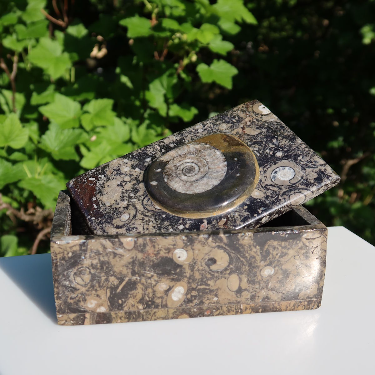 Orthoceras Schatulle Rechteck - cm - Fossilgestein - Nr. 14 mit dekorativem Deckel und fossilen Mustern.