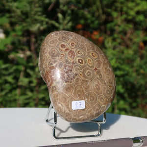 Petoskey Stone, half-polished fossil coral from Morocco, unique piece No. 27, size 11x8x5 cm on display