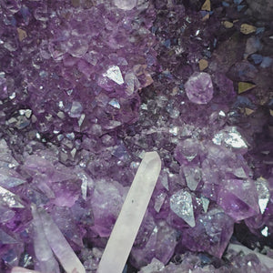 Amethyst Druse – Geode – Harmonie an Entspanung - 52x31x21cm - Nr. 51