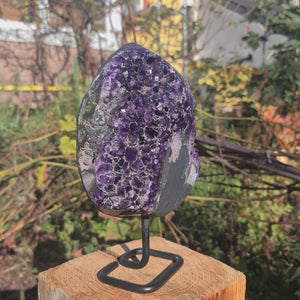 Uruguay Amethyst Drusen Nr. 6 with deep purple crystals on metal stand outdoors.