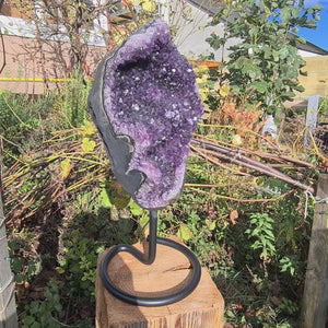 Uruguay Amethyst Drusen sehr intensive, dunkle Farbe! (AA-Qualität) Nr. 17 in Garten auf Holzständer ausgestellt.