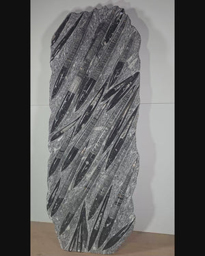 Orthocera und Ammoniten-XL-(freistehend)- 130 x 50cm-280-320 Mill. Jahre -Nr11, beeindruckende Fossilienskulptur.