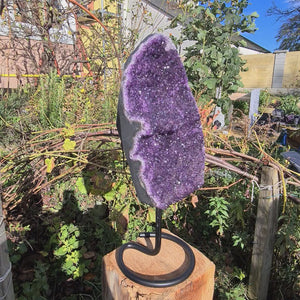 Uruguay Amethyst Drusen sehr intensive, dunkle Farbe! (AA-Qualität) Nr. 12, Ausstellung auf Sockel im Freien mit reichem Lilaton