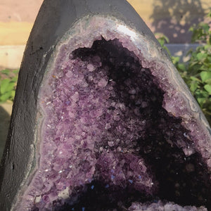 Rohe Amethyst Druse