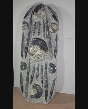 Orthocera und Ammoniten-XL-(freistehend)-123 x 48cm-280-320 Mill. Jahre -Nr. 2 fossil sculpture on display