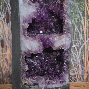 Druse aus Amethyst