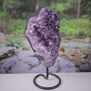 Uruguay Amethyst Drusen with dark purple crystals on metal stand, perfect for home decor.