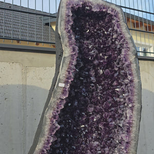 Amethyst Drusen - Geode Paar sehr intensive, dunkle Farbe! (AA-Qualität) – Nr. 185/186. Hochwertige Amethystgeode aus Uruguay.