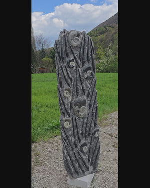 Orthocera und Ammoniten-XL-(freistehend)-168x49cm-280-320 Mill. Jahre -Nr. 1