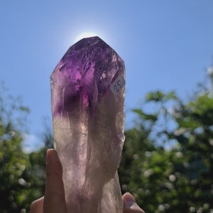 Amethystkristall
