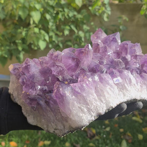 Amethyst Steinwelten 
