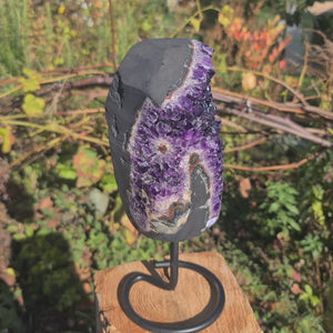 Uruguay Amethyst Drusen Nr. 64 with dark purple crystals on metal stand, ideal for home decor.