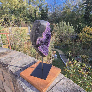 Stunning Uruguay Amethyst Drusen sehr intensive, dunkle Farbe! (AA-Qualität) Nr. 70 on display in a garden setting.