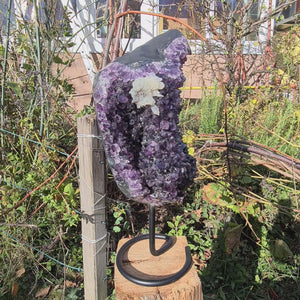 Uruguay Amethyst Drusen sehr intensive, dunkle Farbe! (AA-Qualität) Nr. 54, hochqualitatives, dunkles lila Amethyst auf Ausstellungsständer.