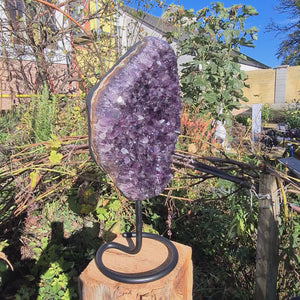 Uruguay Amethyst Drusen sehr intensive, dunkle Farbe! (AA-Qualität) Nr. 56 on display outdoors.