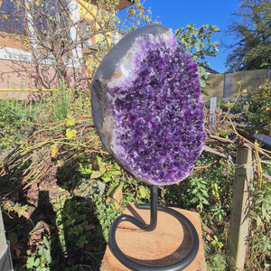 Uruguay Amethyst Drusen sehr intensive, dunkle Farbe! (AA-Qualität) Nr. 48 mit tief lila, funkelnden Kristallen auf Ständer