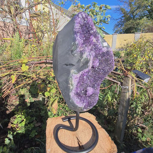 Uruguay Amethyst Drusen sehr intensive, dunkle Farbe! (AA-Qualität) Nr. 57 featuring deep purple crystals on display.