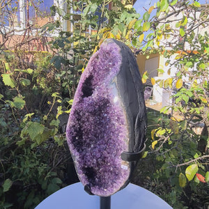 Uruguay Amethyst Drusen sehr intensive, dunkle Farbe! (AA-Qualität) Nr. 72 displaying dark purple crystals outdoors