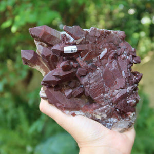 Seltene Hämatit Quarz Bergkristall Stufe (Eisenquarz) 18x12x8cm Marokko Nr. 67