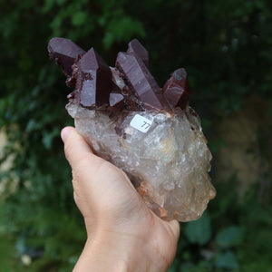 Seltene Hämatit Quarz Bergkristall Stufe (Eisenquarz) 15x9x9cm Marokko Nr. 77