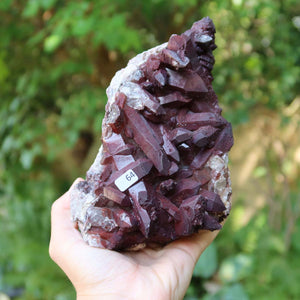 Seltene Hämatit Quarz Bergkristall Stufe (Eisenquarz) 19x12x7cm Marokko Nr. 64