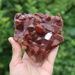 Seltene Hämatit Quarz Bergkristall Stufe (Eisenquarz) 10x10x4cm Marokko Nr. 37