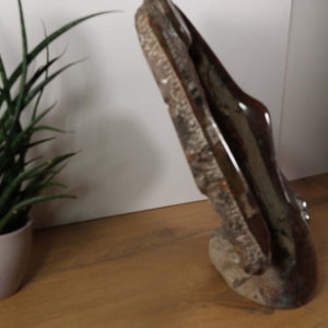 Skulptur aus Orthoceras & Ammoniten-Fossilien – 42x43cm 20kg - aus der Urzeit Nr.45, stilvoll präsentiert mit Pflanze