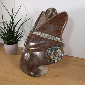 Skulptur aus Orthoceras & Ammoniten-Fossilien – 42x43cm 20kg - aus der Urzeit Nr.45, kunstvolle Darstellung auf Holz.