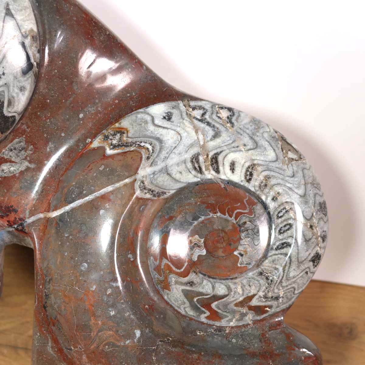 Skulptur aus Orthoceras & Ammoniten-Fossilien – 44x34cm 14kg - aus der Urzeit Nr.48 auf einem Holzfußboden.