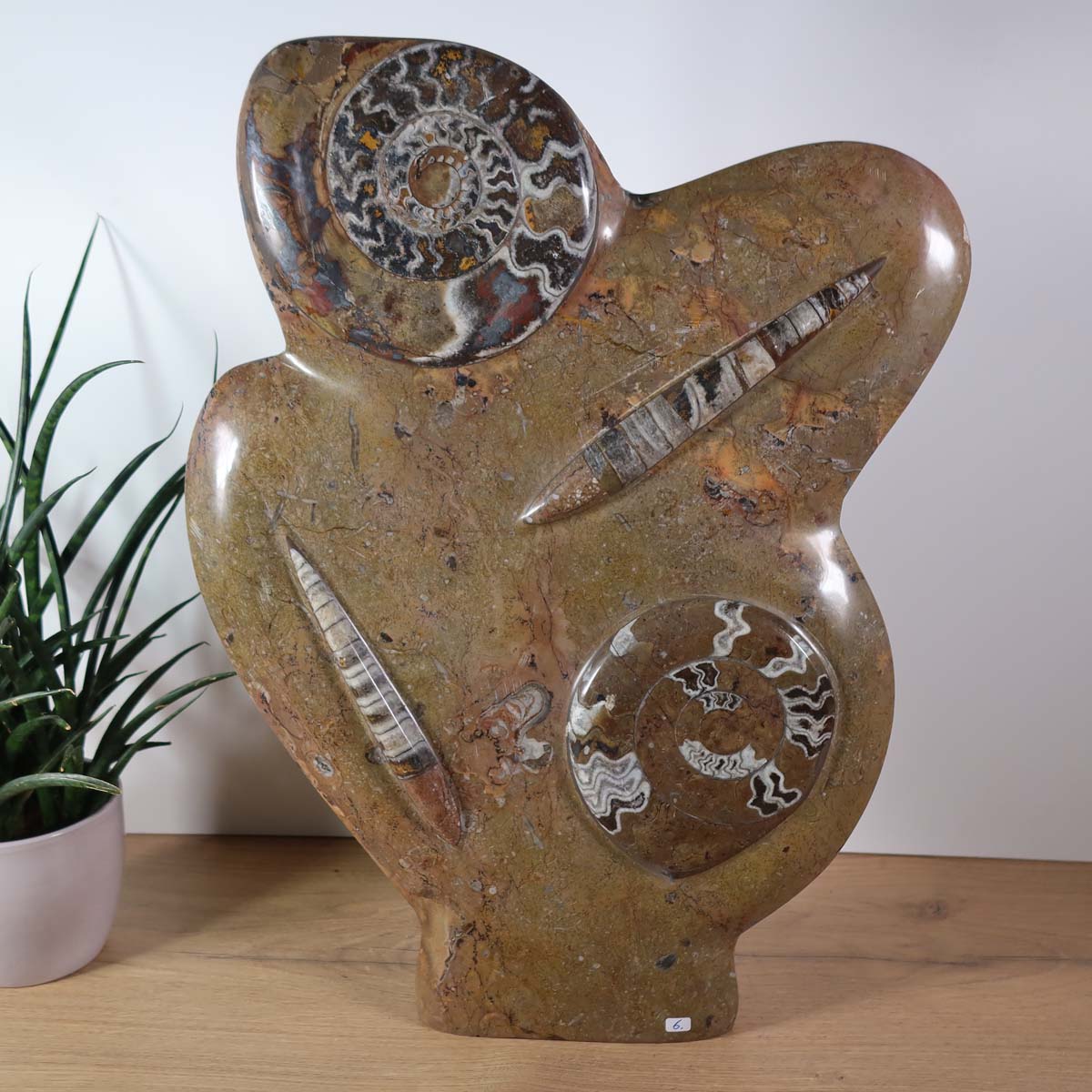 Skulptur aus Orthoceras & Ammoniten-Fossilien – 52x35cm 11,5kgaus der Urzeit Nr.44 mit natürlichen Fossilien.