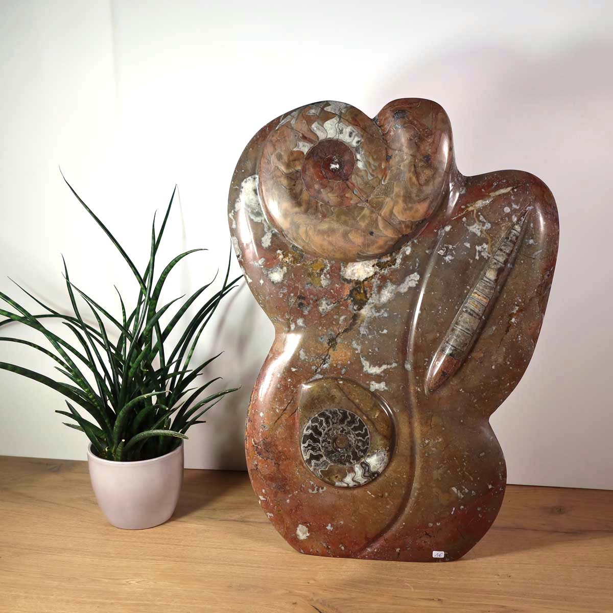 Skulptur aus Orthoceras & Ammoniten-Fossilien – 54x30cm 13,5kg - aus der Urzeit Nr.46 mit Pflanze im Hintergrund