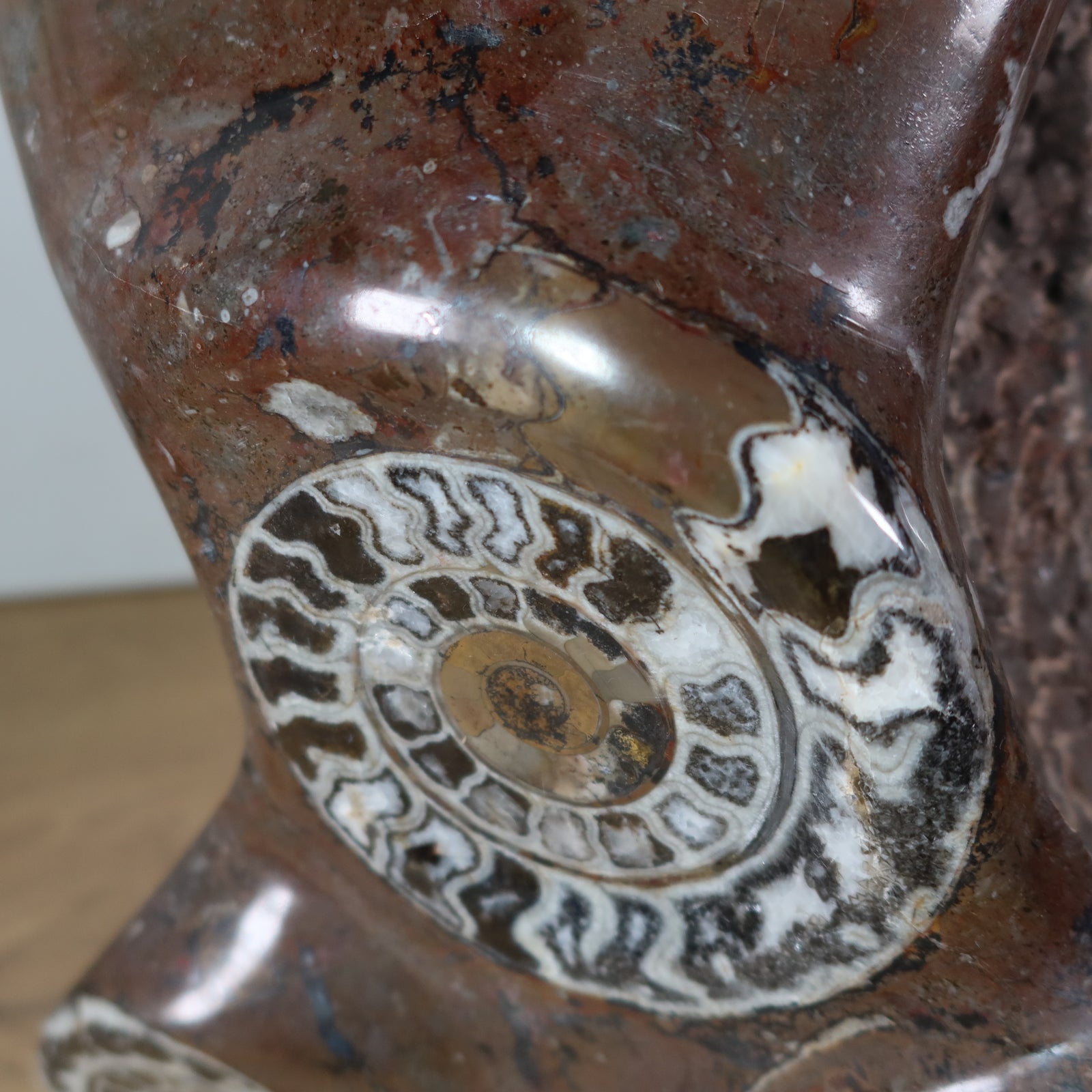 Skulptur aus Orthoceras & Ammoniten-Fossilien – 54x38cm 22kg aus der Urzeit Nr.42 auf Holzfläche mit Pflanze im Hintergrund.