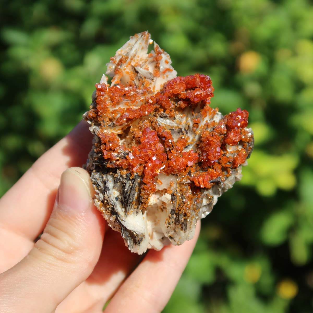 Vanadinit auf Baryt - Natürliche Kristallstufe aus Marokko 6x5x3,5cm - 0,13kg Nr.69 in der Hand
