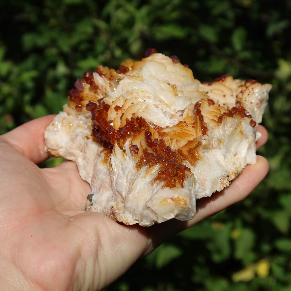 Vanadinit auf Baryt - Natürliche Kristallstufe aus Marokko 13x9x5cm - 0,68kg Nr.82 in Hand