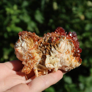Vanadinit auf Baryt - Natürliche Kristallstufe aus Marokko 8x6x4,5cm - 0,23kg Nr.61 in Hand gehalten