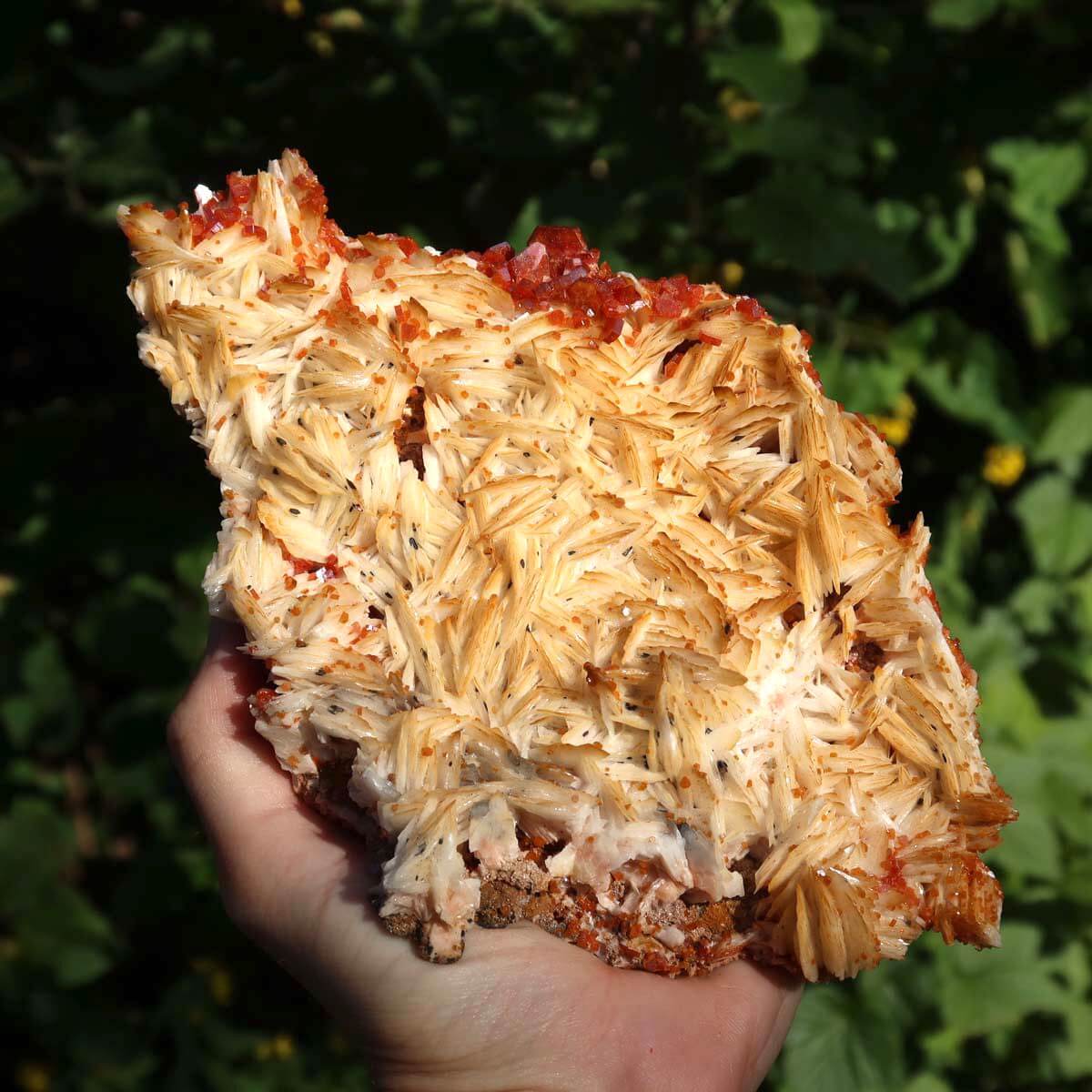 Vanadinit auf Baryt - Natürliche Kristallstufe aus Marokko 18x12x4cm - 0,76kg Nr.84 - Leuchtend orange-mineralisches Stück.