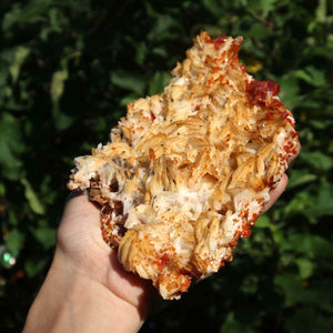 Vanadinit auf Baryt - Natürliche Kristallstufe aus Marokko 18x12x4cm - 0,76kg Nr.84 in der Hand gehalten.